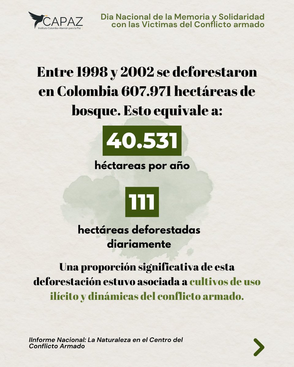 Instituto CAPAZ tweet media