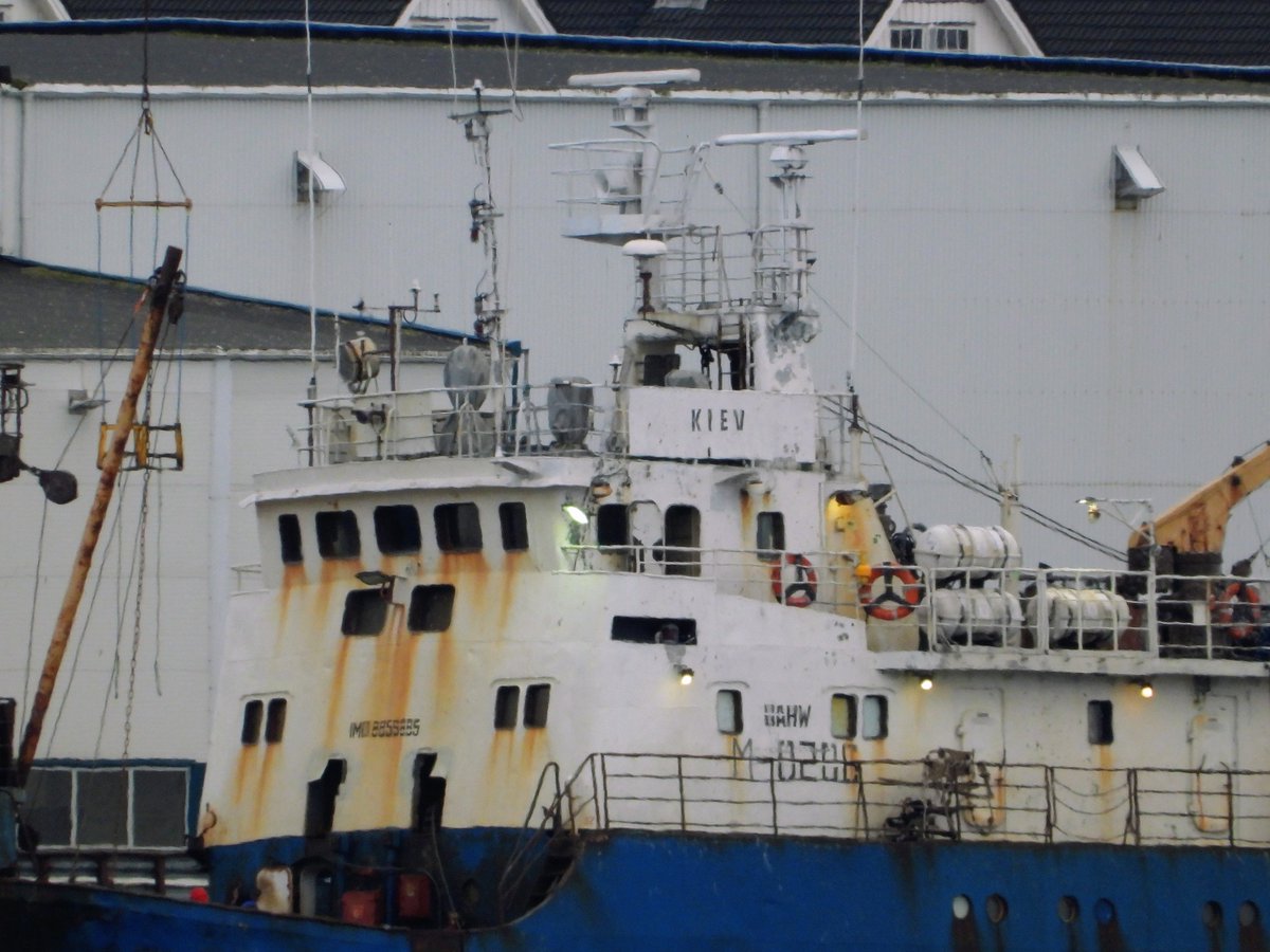 Alex Tiedemann 🇵🇸🔻 tweet media