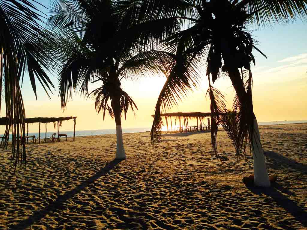 HotelTapachula's tweet photo. 🌊✨ A solo 40 minutos de la ciudad, descubre Playa Linda, donde la arena dorada, el sonido del mar y su ambiente familiar crean el plan perfecto. 🏝️
Disfruta su gastronomía, relájate bajo una palapa y déjate sorprender por la naturaleza en la cercana Laguna Pozuelos. 🐦🌿 https://t.co/CWqBxWjASK