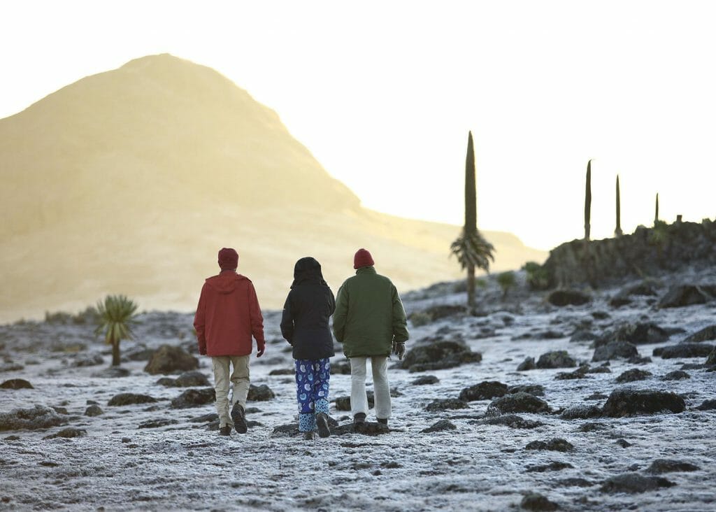 Statsfrica tweet media