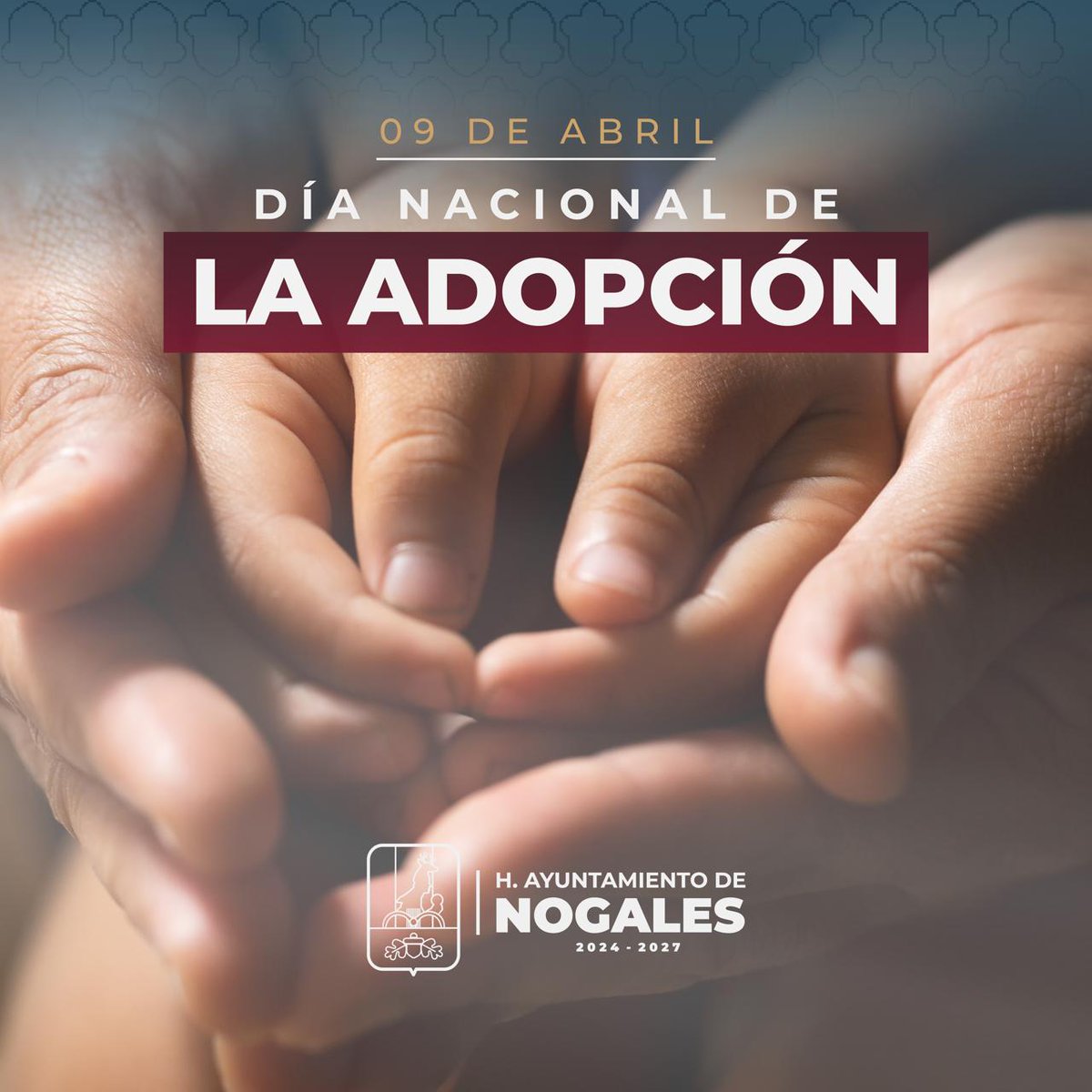 Gobierno de la Ciudad de Nogales tweet media