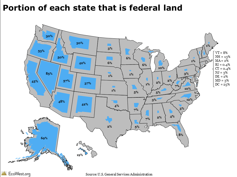 SudelPool tweet media