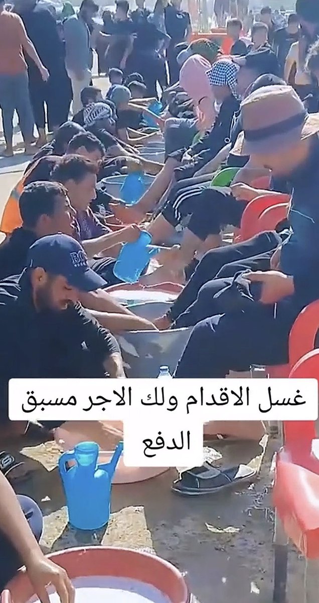 👸🏻 tweet media