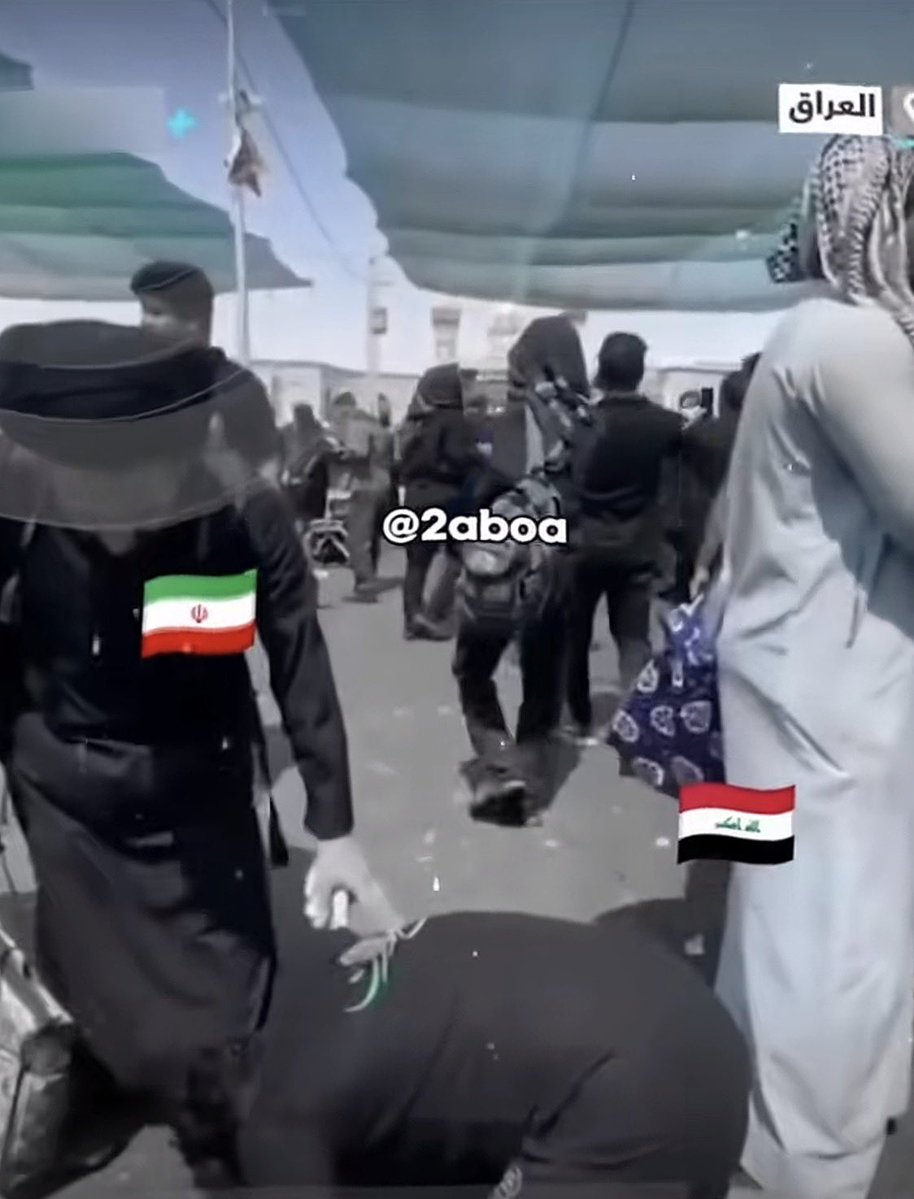 👸🏻 tweet media