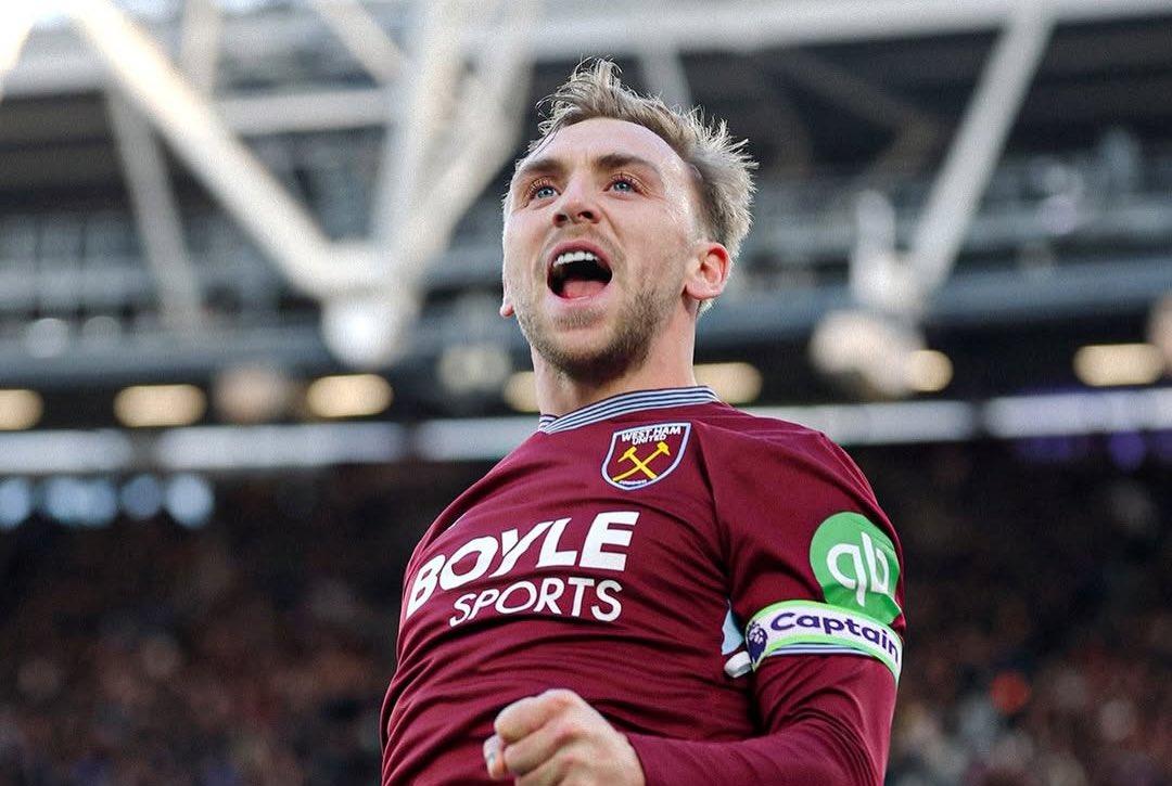 FPL Meerkat tweet media