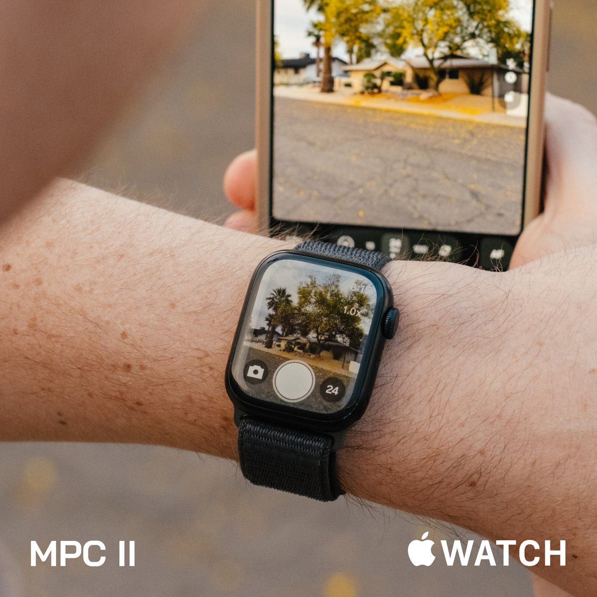 Moment Pro Camera tweet media