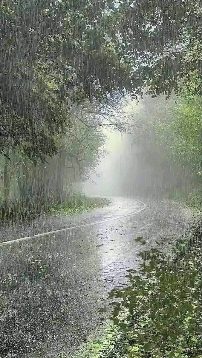 🌻Susana Aguiling🌻 tweet media