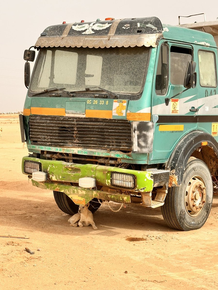 الزعبي السلمي tweet media