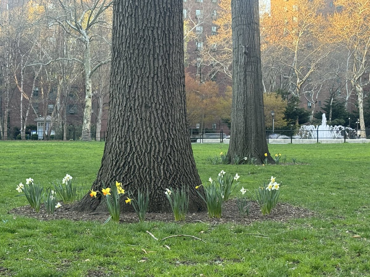 Stephan Rihs tweet media