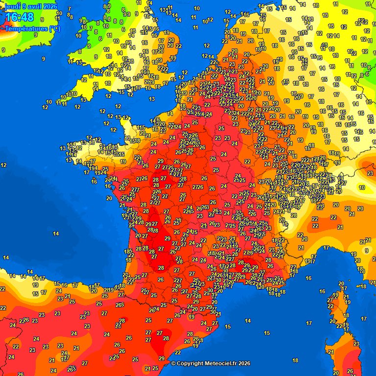 Chems Météo tweet media