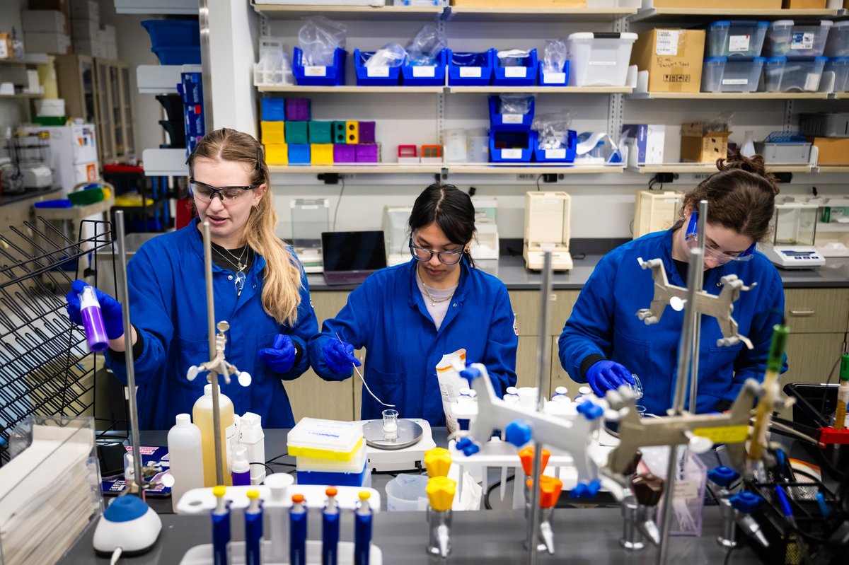 Northeastern Global News tweet media