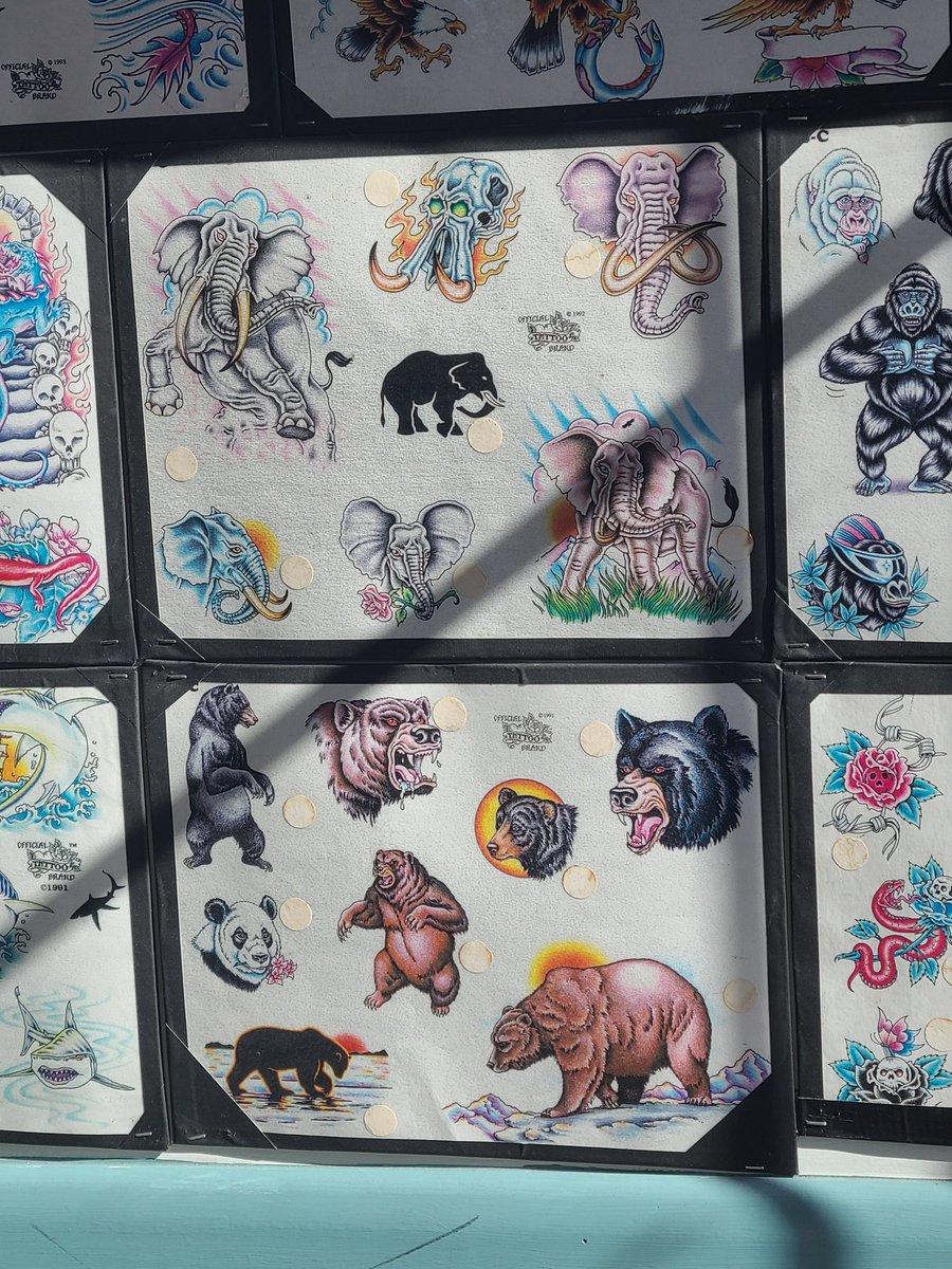 ᕲσσꪑ tweet media