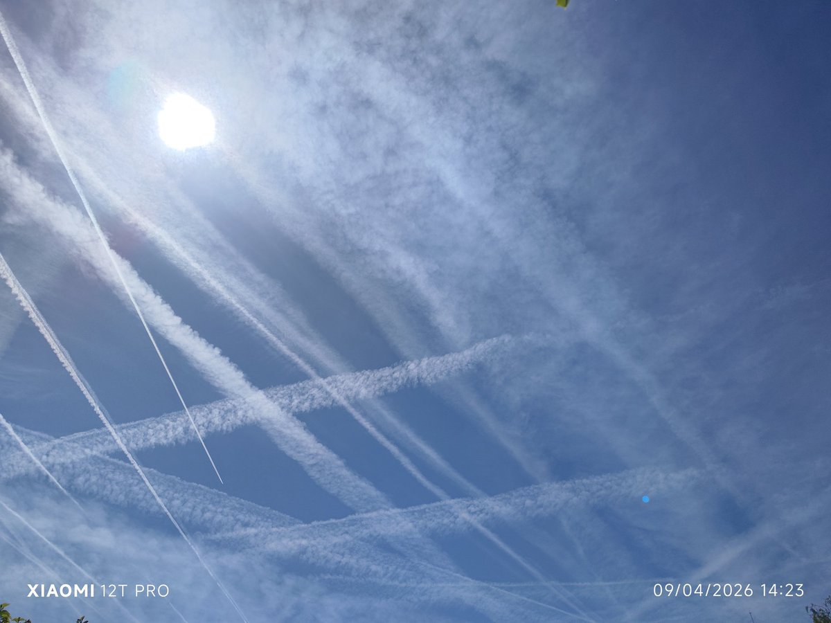 Legion97ceuta 🇪🇦 tweet media