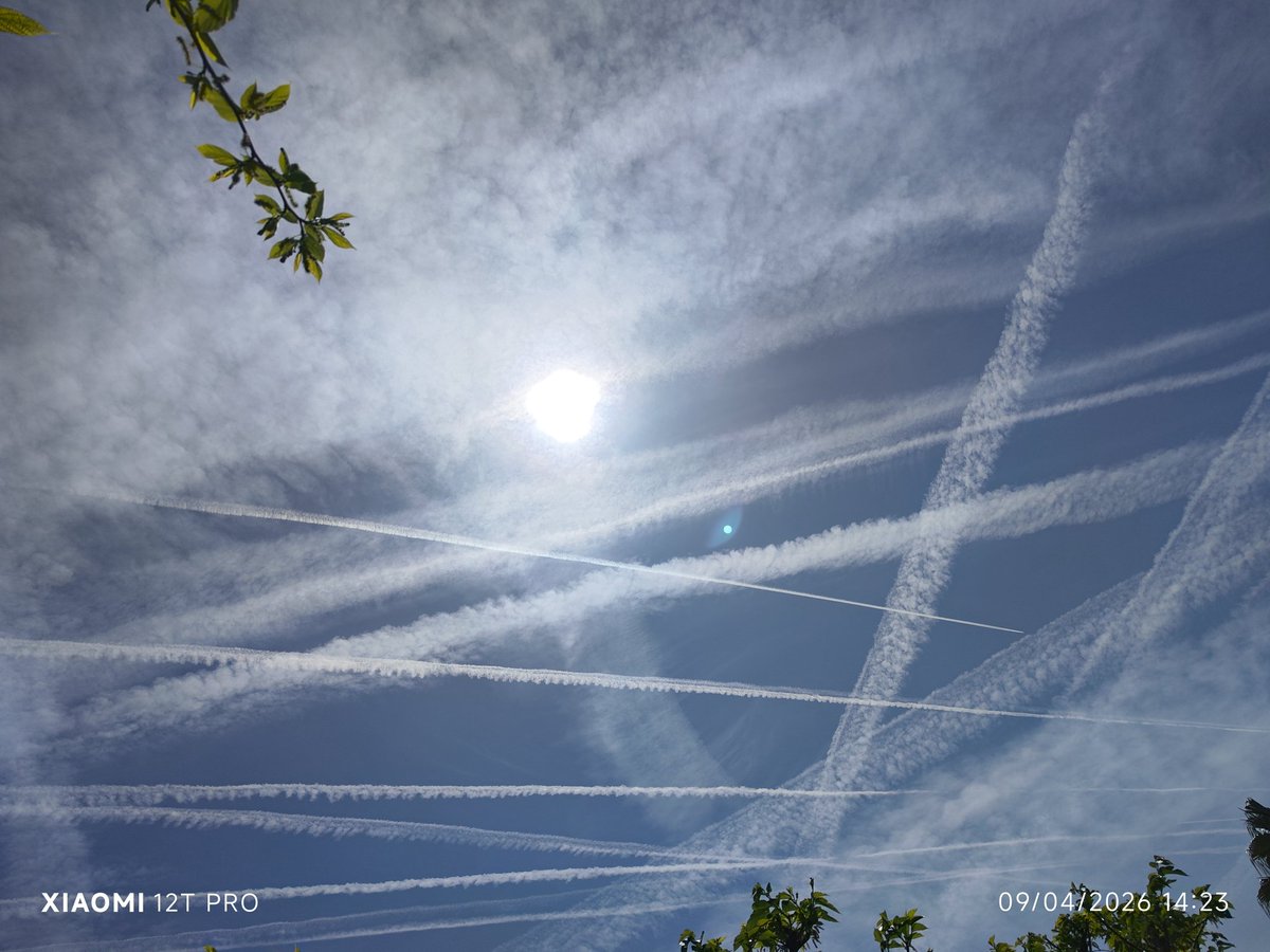 Legion97ceuta 🇪🇦 tweet media