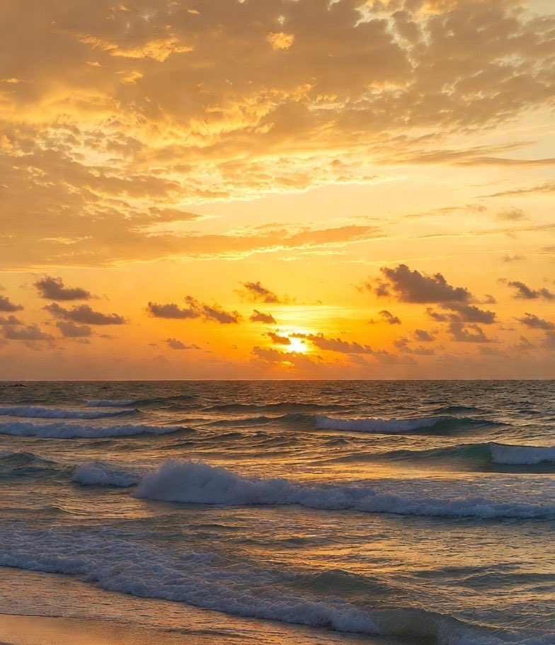 Lisa🌺 tweet media