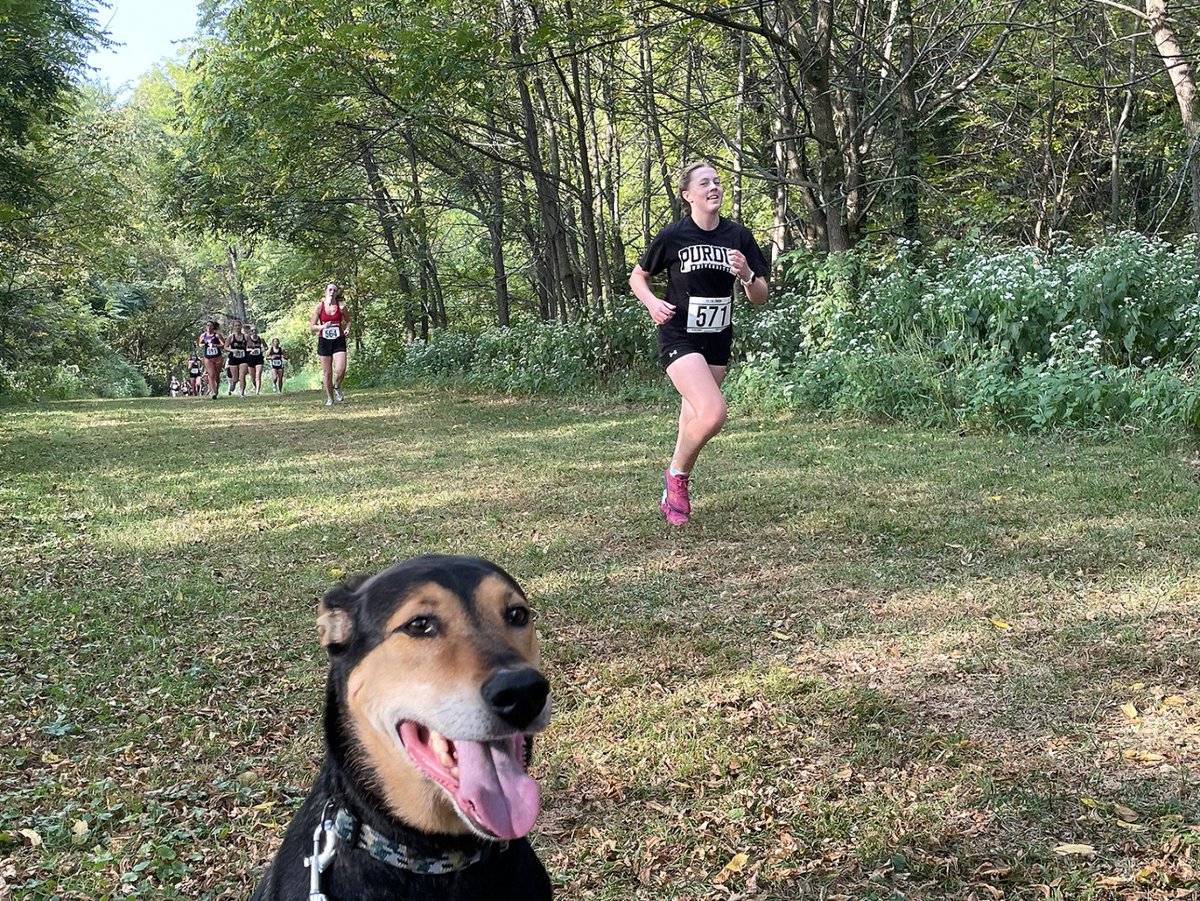 College Board tweet media