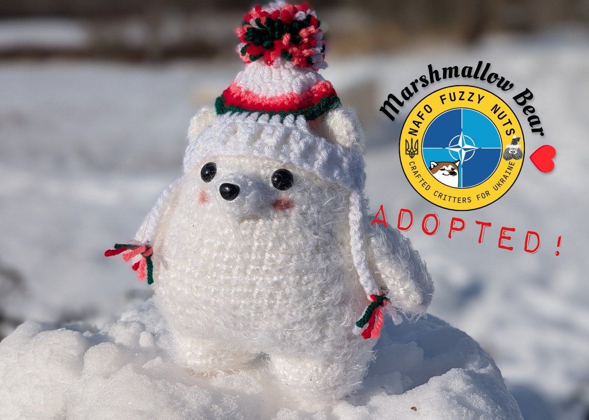 joliemackdotcom's tweet photo. We should probably tell folks what #FuzzyNuts is 😃🧶 We're a small NAFO team of 🇨🇦🇺🇸 crochet crafters that make cuddly Critters for adoption in support of Ukraine. Over the years, we have fundraised $25k+ for 🇺🇦 initiatives, funding everything from pet care to groceries for seniors. Follow @FuzzyNut1223 to see how it works!