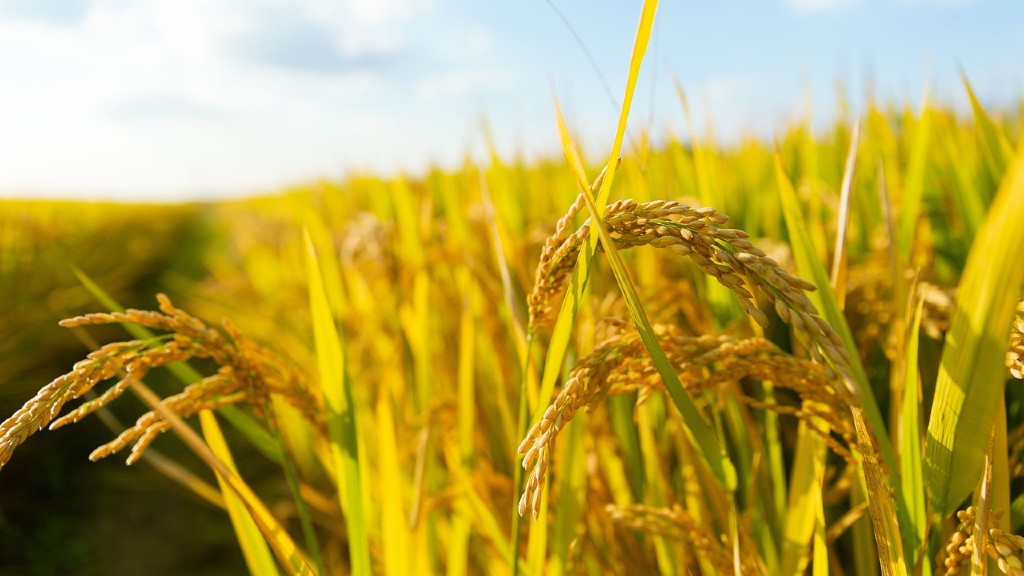 ANDALUCÍA AHORA tweet media