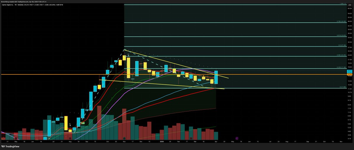 TheBronxViking tweet media