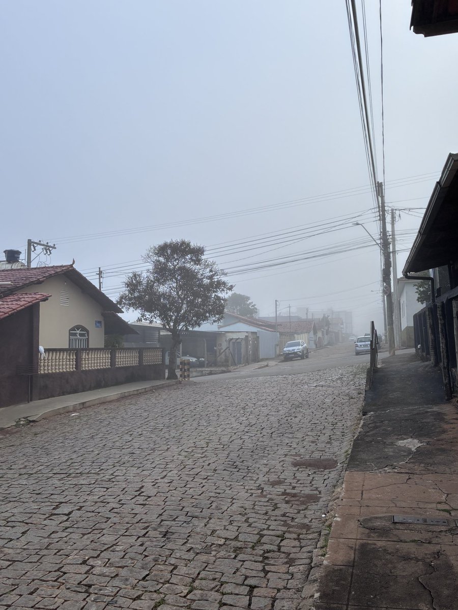 noir 🦇💋 tweet media