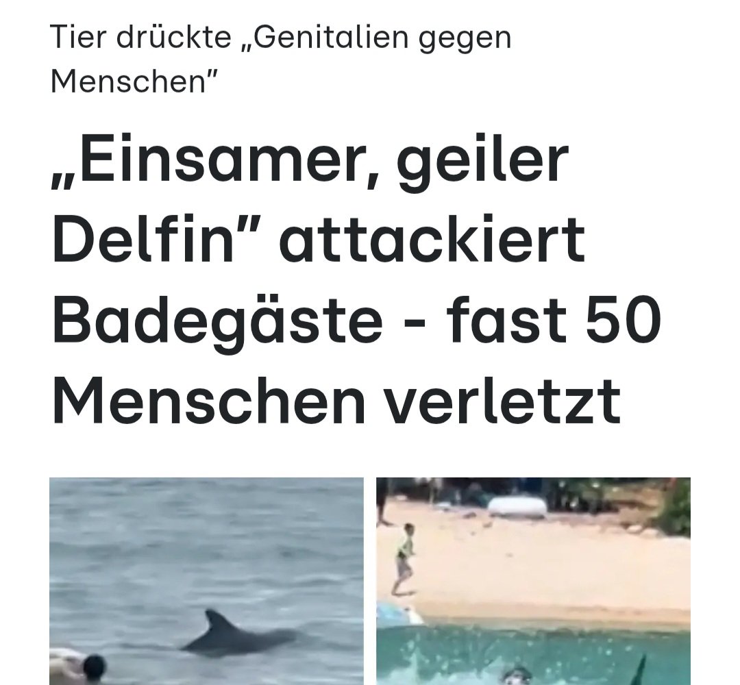 not all dolphins