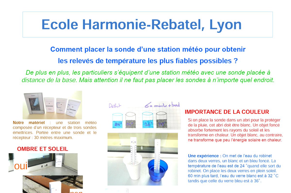 Seedz🐍🚁 🟨⬛ tweet media