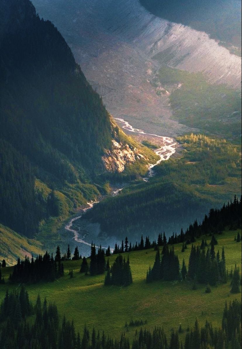 Doğadan görüntüler tweet media