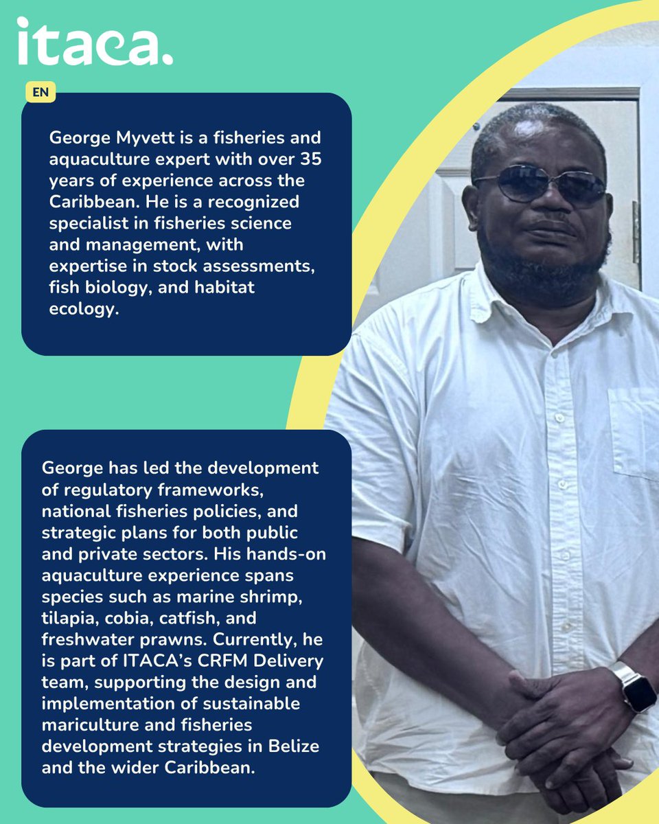 ITACA SOLUTIONS tweet media