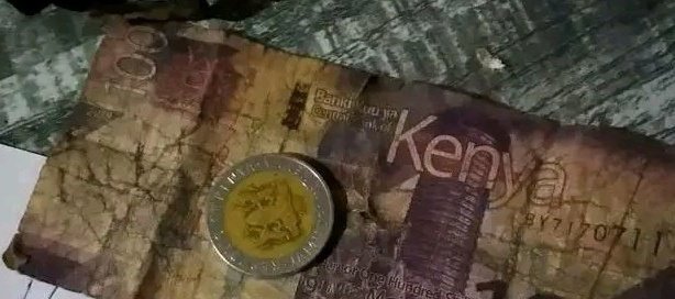 Garden Vibes tweet media