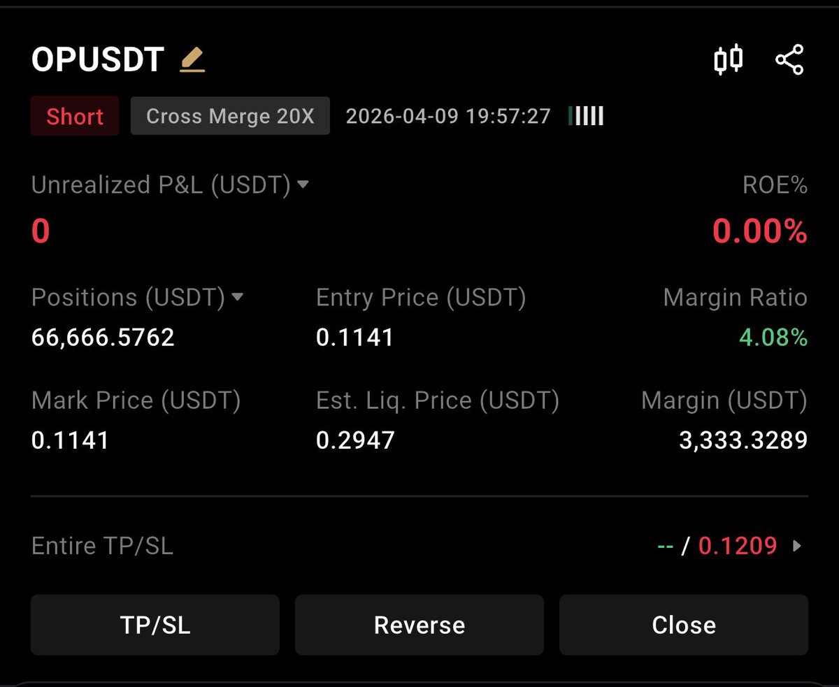 Owl Prints tweet media