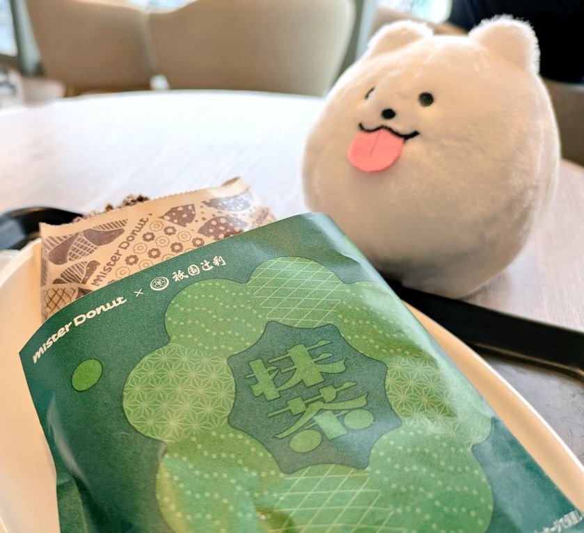 gd_prn's tweet photo. こちら今日連れて帰ってきた可愛いﾜﾝﾁｬﾝなんですけども、 https://t.co/3Q3W9FhZPW