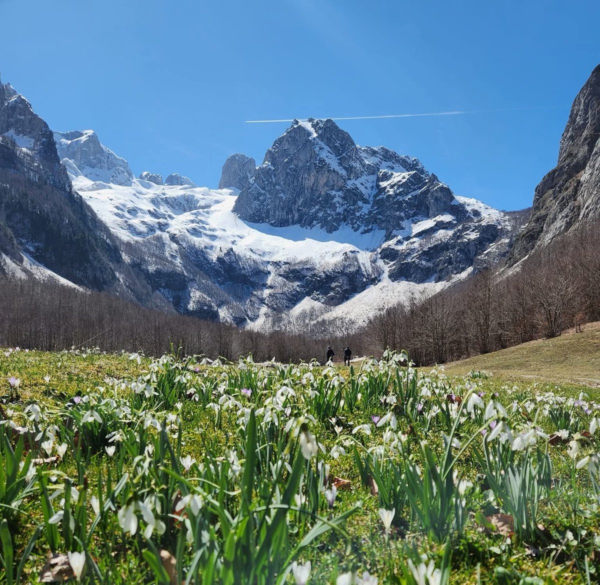 Hari66🇲🇪 tweet media