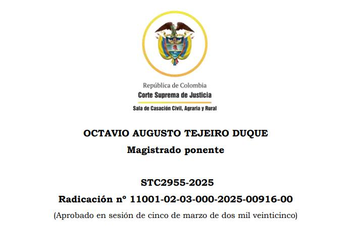 EL ALCANCE DEL PRECEDENTE JURISPRUDENCIAL EN MATERIA DE DISOLUCIÓN DE LA SOCIEDAD CONYUGAL POR SEPARACIÓN DE HECHO Y SU APLICACIÓN EN EL TIEMPO DENTRO DE LA ACCIÓN DE TUTELA CONTRA PROVIDENCIAS JUDICIALES.

La Corte Suprema de Justicia estudió una acción de tutela interpuesta