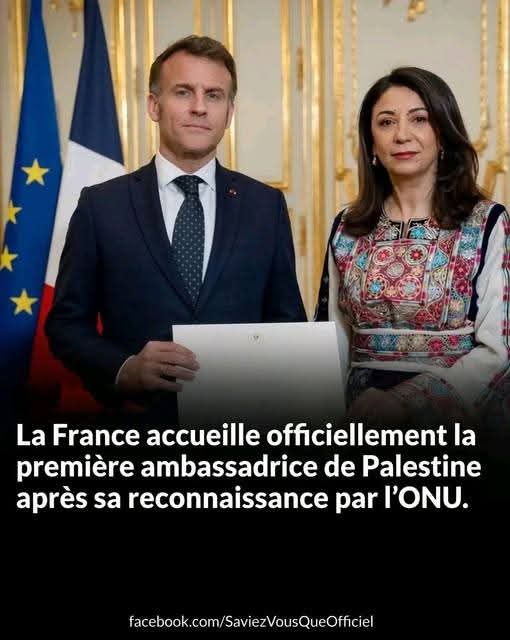 MDevautour tweet media