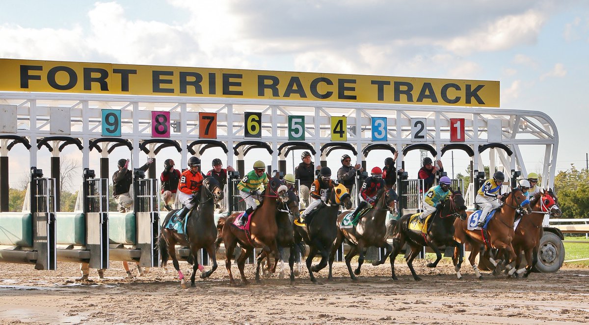 Jockeys Canada tweet media