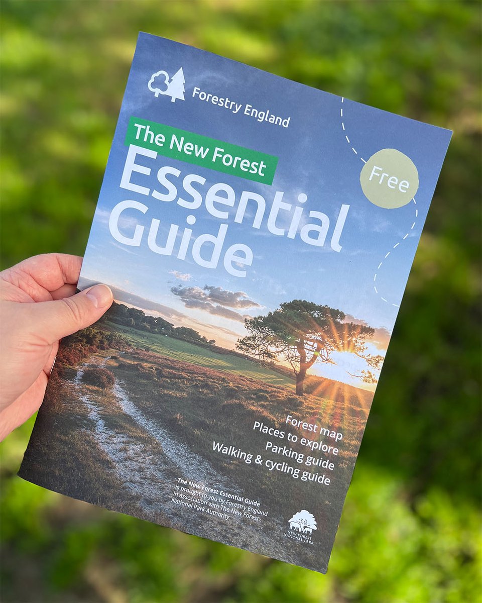 The New Forest - Forestry England tweet media