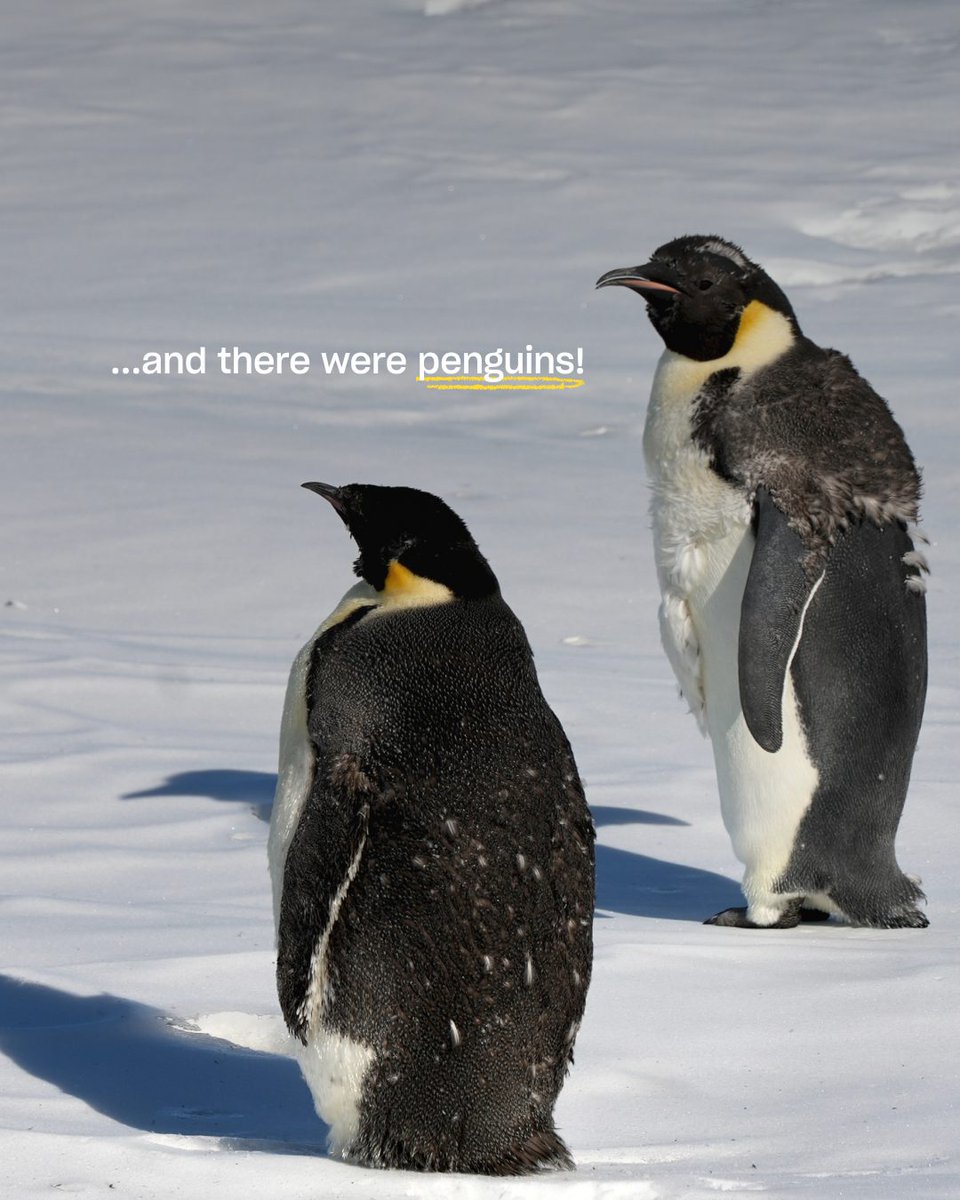 Protect Our Winters tweet media