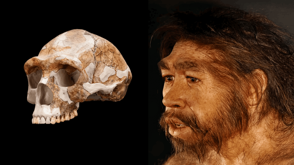 Origins Unveiled tweet media