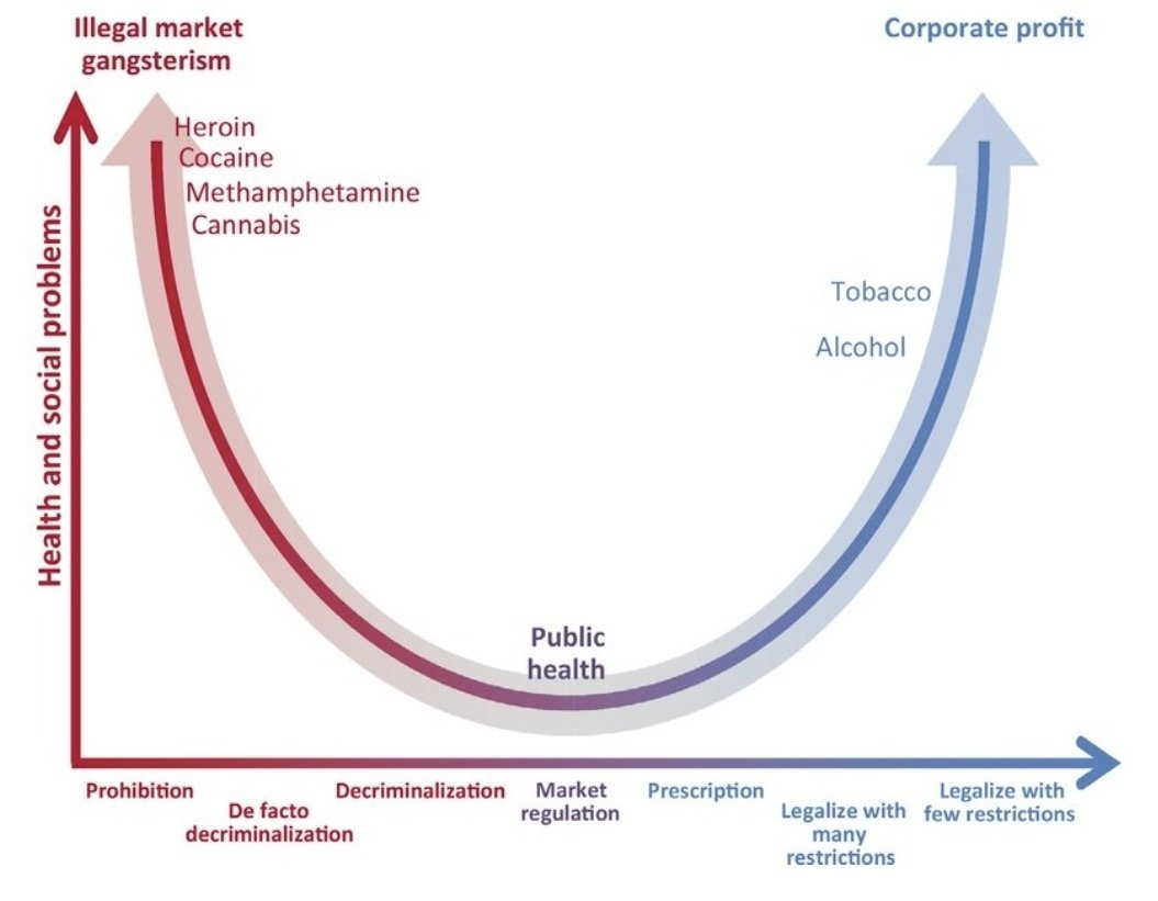 𝔊reenthumb 𝐖iżd☯︎m tweet media