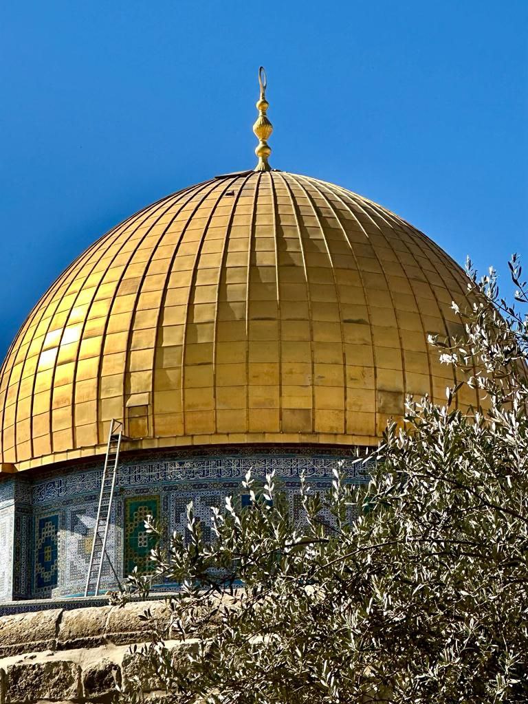 🇹🇷Ehl-i Sünnet Yolu🇹🇷#DuaOrdusu tweet media