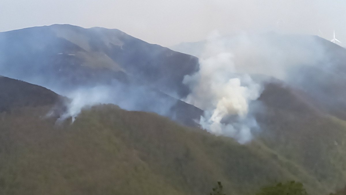 Pablo Perez tweet media