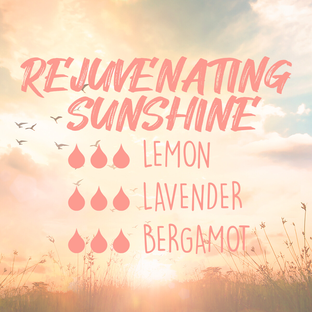 ursulam0531's tweet photo. Spring is FINALLY HERE! Diffuser Blend to make your home smell like outside!

#EssentialOils #DiffuserBlend https://t.co/DApncisAx7