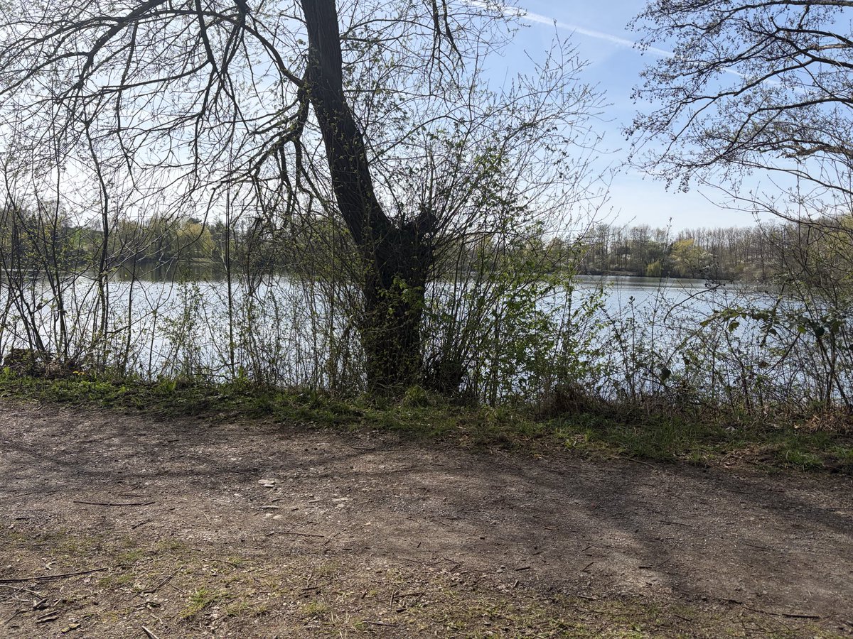 QueenXSpace's tweet photo. Went on a walk :)) xx https://t.co/vrXizirQLe