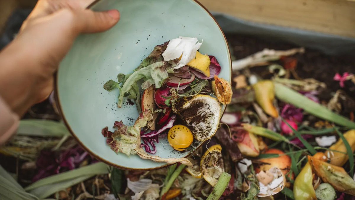 witzshared's tweet image. Food #waste began to decline 4 years after the #pandemic, Refed finds buff.ly/RSpFkUR