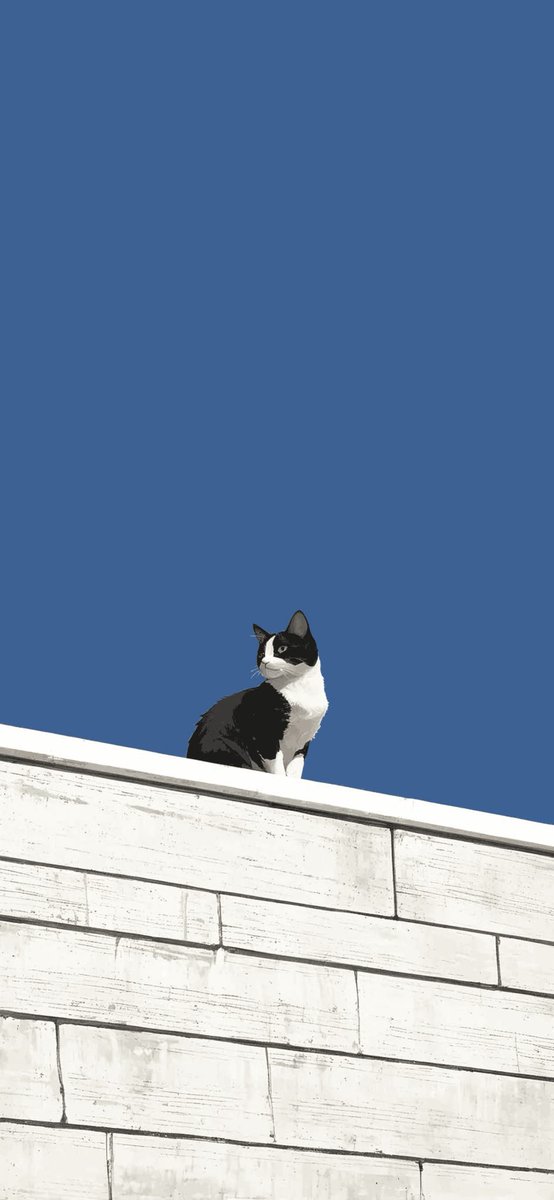 Aesthetic Drift tweet media