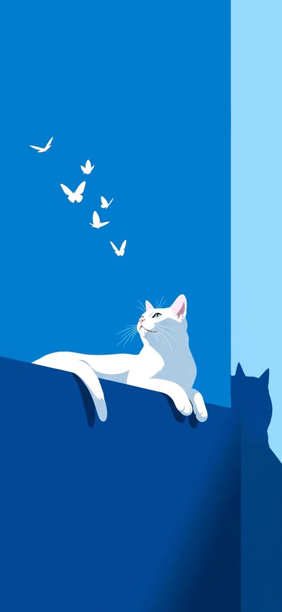 Aesthetic Drift tweet media