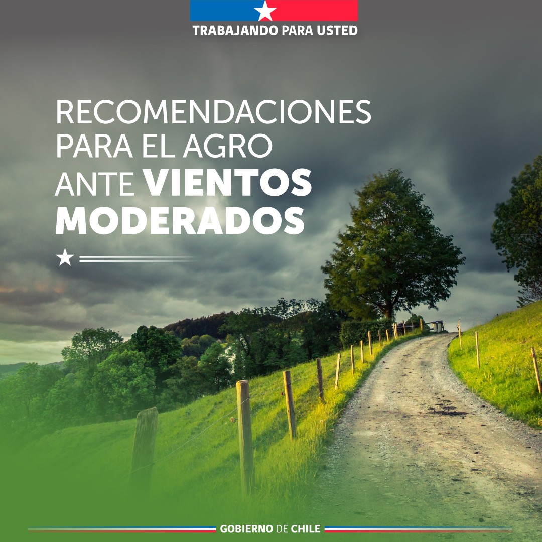 AgroClimaticoCL's tweet photo. 🐑🌬️Desde la madrugada de hoy hasta la de mañana, en Magallanes habrá viento moderado a fuerte, por lo que compartimos las siguientes recomendaciones, entre las que se desataca mantener animales en lugares protegidos, ya que el viento aumenta el frío y afecta su salud. https://t.co/daUFNEMmyr