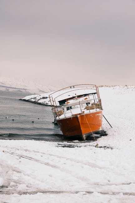 Kimberly Smith tweet media