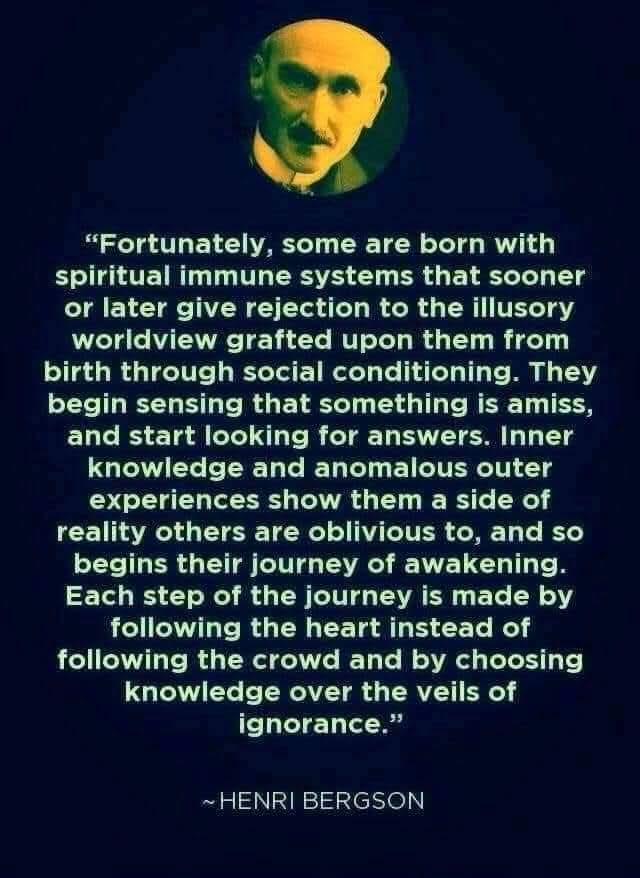 Tesla369 tweet media