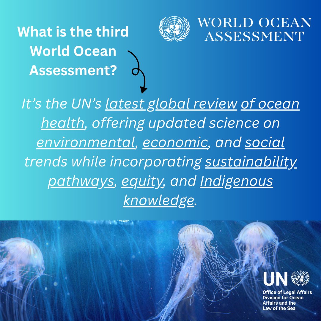 Division for Ocean Affairs and the Law of the Sea tweet media